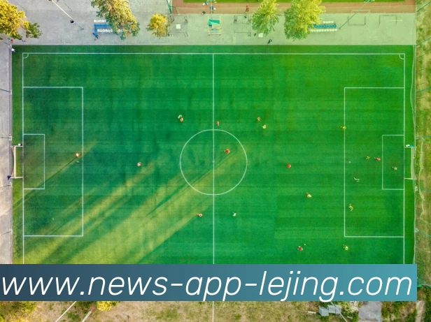 App Interface Preview